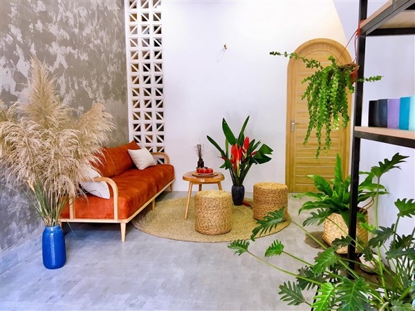 Trồng cây xanh trong nhà - xu hướng trang trí nội thất mới - Báo Cao ...