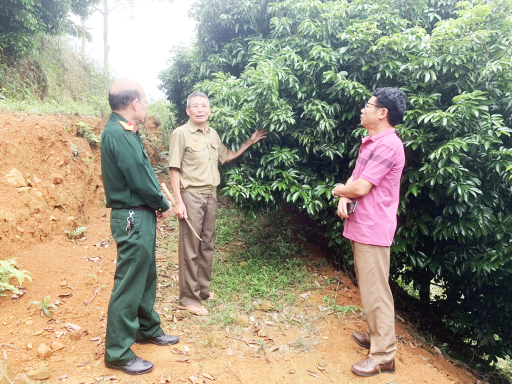 Ông Nguyễn Văn Nguyên (giữa) giới thiệu mô hình phát triển kinh tế của gia đình.