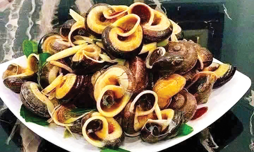 Ốc đá - món ăn mang đậm hương vị núi rừng - Báo Cao Bằng điện tử