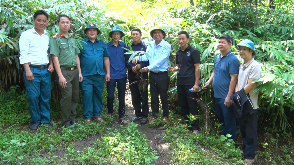 Đo&agrave;n c&ocirc;ng t&aacute;c UBND x&atilde; Bảo L&acirc;m khảo s&aacute;t m&ocirc; h&igrave;nh trồng c&acirc;y sa nh&acirc;n tại hộ gia đ&igrave;nh anh Vừ A Dầư, x&oacute;m Lũng Nặm.