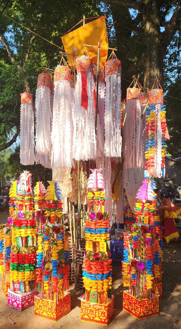 Những cây hoa đầy màu sắc 