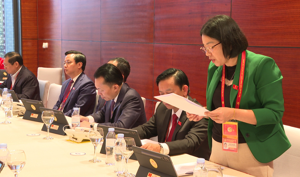 Thành viên Đoàn đại biểu tỉnh tham gia góp ý tại buổi thảo luận.