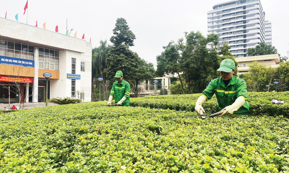 S&aacute;ng - xanh - sạch - đẹp đ&oacute;n xu&acirc;n mới