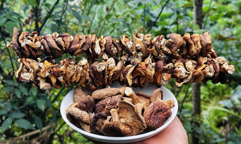 Nấm hương &ndash; m&oacute;n ăn đậm hương vị n&uacute;i rừng