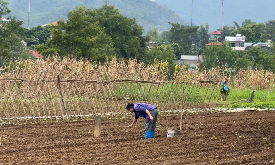 S&ocirc;i động kh&iacute; thế lao động, sản xuất đầu năm mới