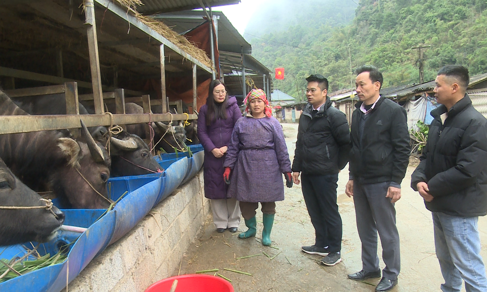 Doanh số cho vay t&iacute;n dụng ch&iacute;nh s&aacute;ch tỉnh 2 th&aacute;ng đầu năm tr&ecirc;n 266 tỷ đồng 