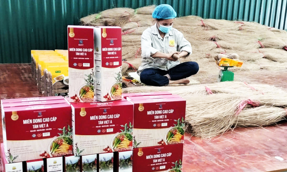 Những doanh nghiệp, hợp t&aacute;c x&atilde; "đầu t&agrave;u" kết nối chuỗi gi&aacute; trị n&ocirc;ng sản