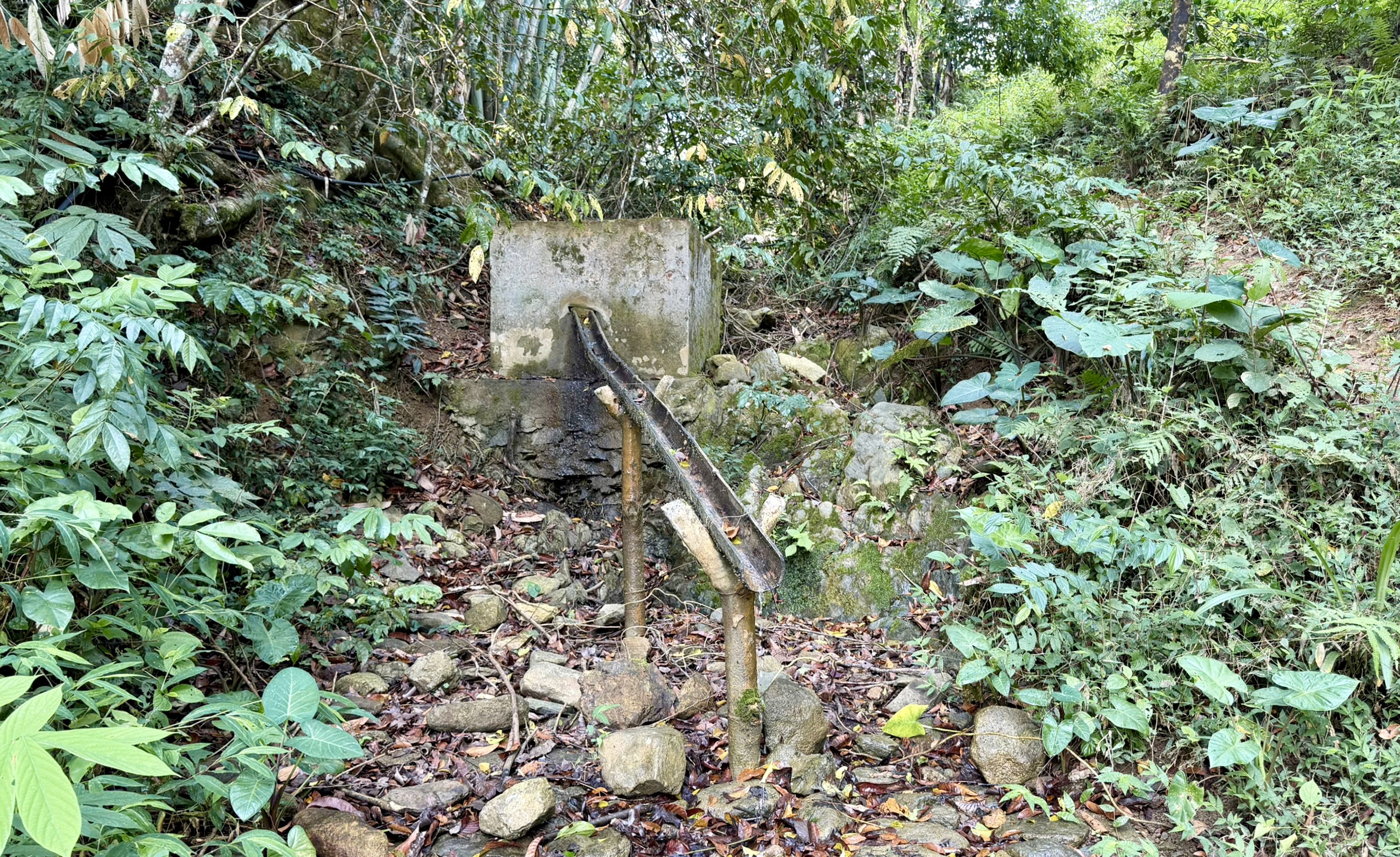 Nặm Lìn theo tiếng địa phương nghĩa là “nước máng” là một khe suối nhỏ dưới chân núi, kín đáo, thuận lợi cho việc hoạt động bí mật thời kỳ đầu cách mạng. Chính yếu tố “nhỏ bé, khuất nẻo” ấy lại trở thành điều kiện thuận lợi để một sự kiện lớn của lịch sử được khởi nguồn.