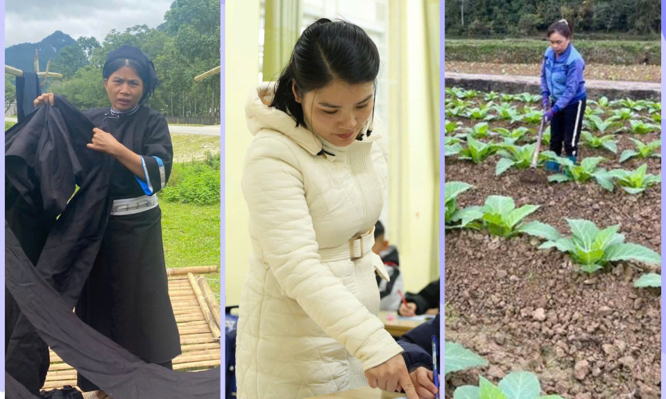 Những đ&oacute;a hoa bền bỉ nơi miền non nước Cao Bằng