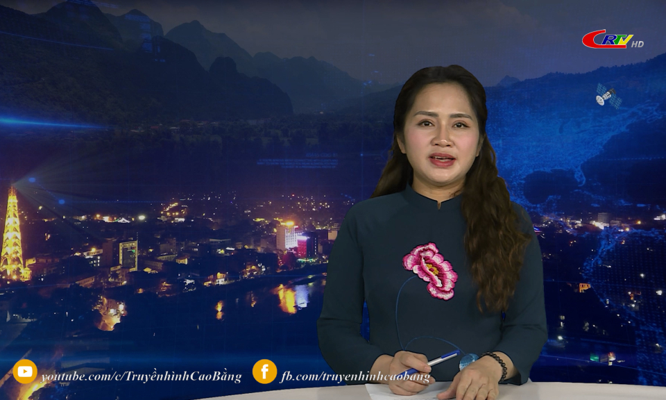 Chương tr&igrave;nh thời sự tối ng&agrave;y 08/3/2026