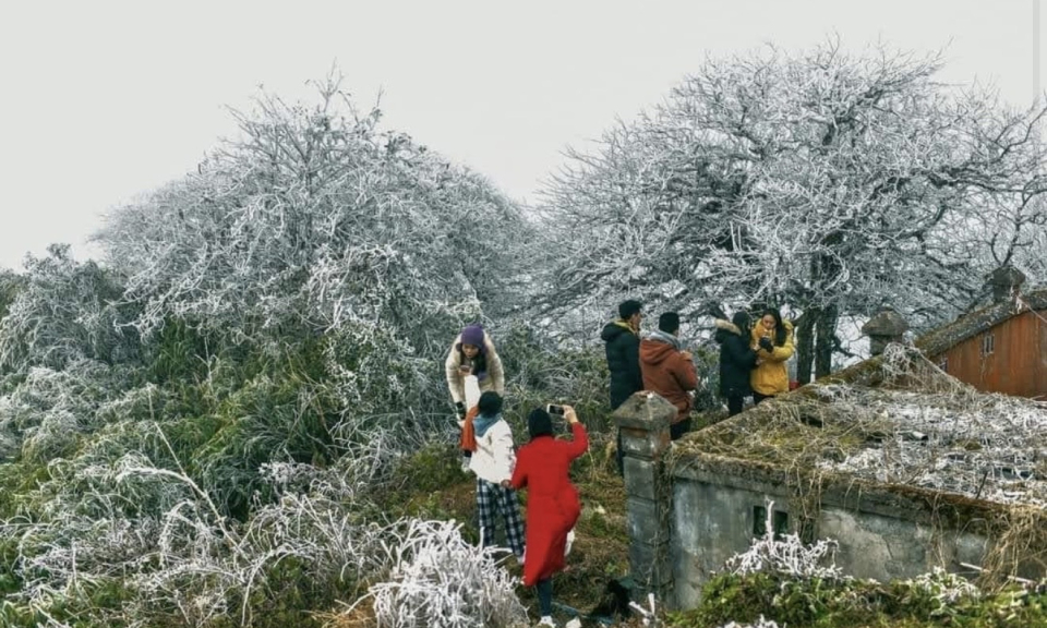 Chủ động ứng ph&oacute; với thi&ecirc;n tai do ảnh hưởng của kh&ocirc;ng kh&iacute; lạnh