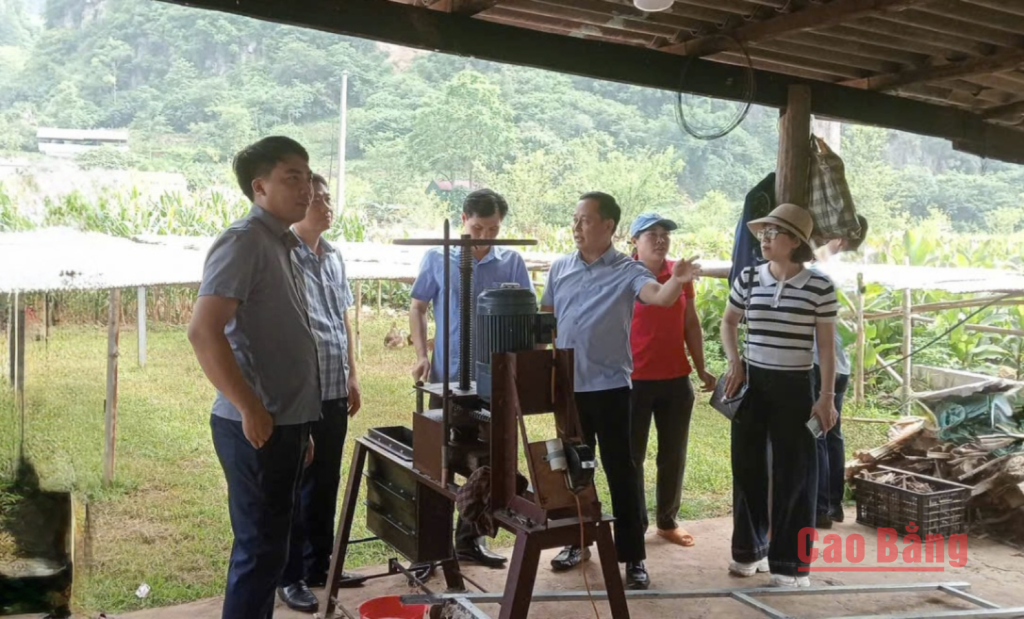 Cấp ủy, chính quyền xã Nguyễn Huệ kiểm tra tình hình phát triển kinh tế - xã hội tại thôn Án Lại.