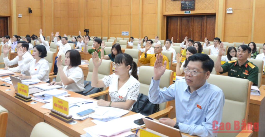Đại biểu biểu quyết thông qua các nghị quyết tại kỳ họp.