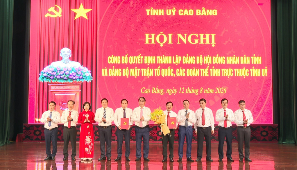 Bí thư Tỉnh ủy, Chủ tịch HĐND tỉnh Phan Thăng An trao quyết định thành lập Đảng bộ HĐND tỉnh trực thuộc Tỉnh ủy.