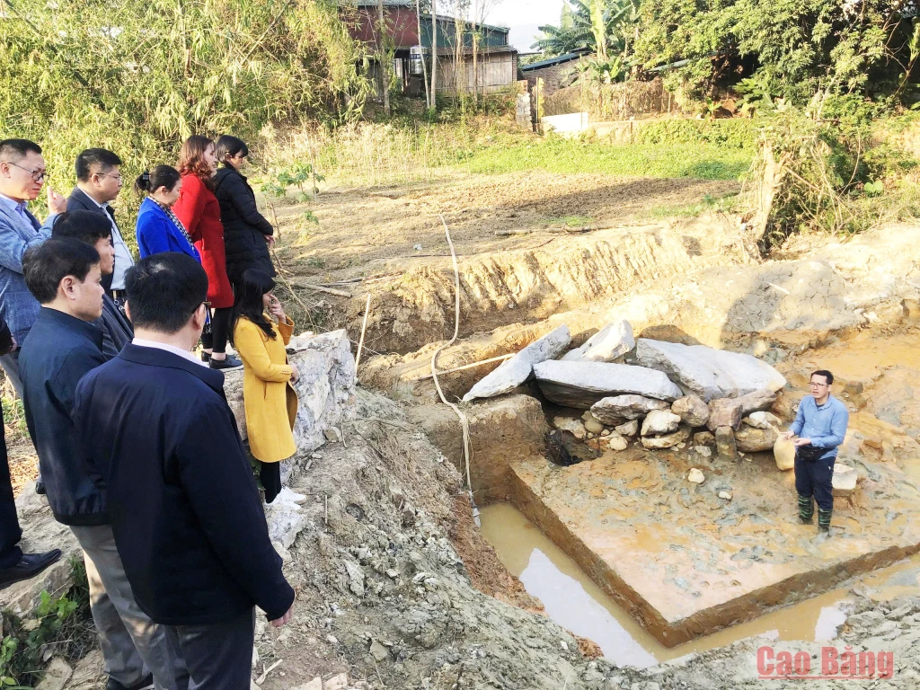 Hiện trường khai quật di tích cự thạch Bản Thảnh, khu vực Cao Bình, xã Hòa An.
