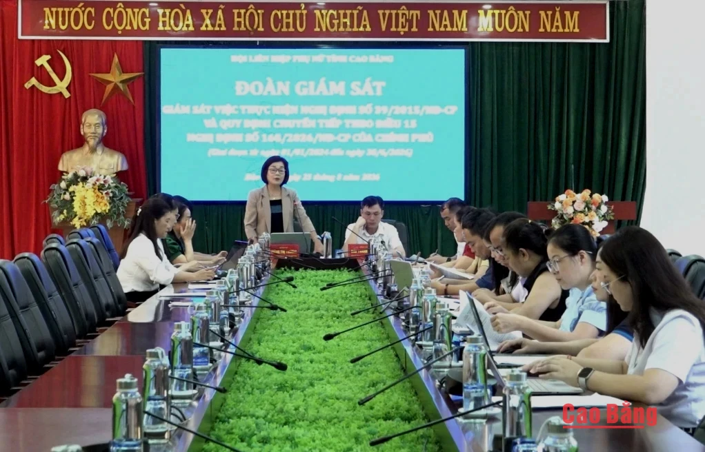Giám sát thực hiện chính sách hỗ trợ phụ...