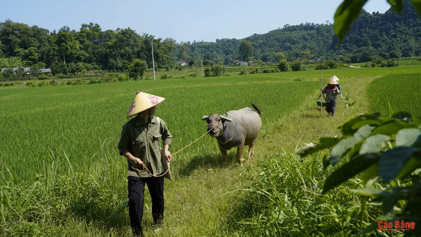 Sắc màu vùng cao trên sân cỏ
