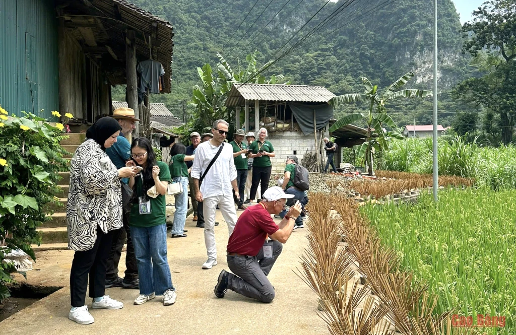 Du khách trải nghiệm làm hương thơm của dân tộc Nùng An, bản Phja Thắp, xã Quảng Uyên.