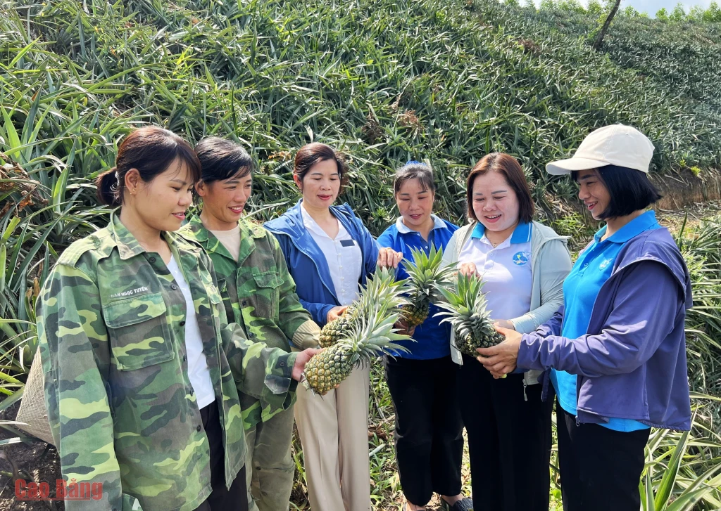 Phát huy tiềm năng, trí tuệ của phụ nữ,...