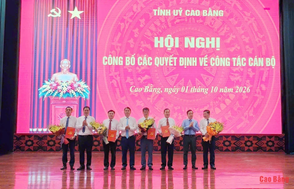 Thường trực Tỉnh ủy trao các quyết định về công tác cán bộ.
