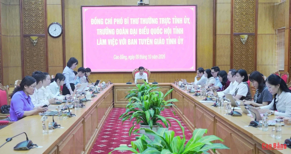 Các đại biểu dự buổi làm việc.